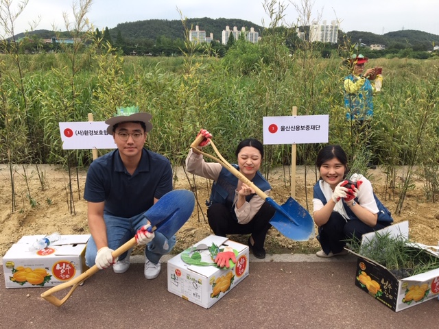 백리대숲 조성사업 식재행사 참여